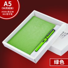 绿色A5001本+B02笔