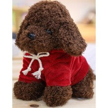 酒红卫衣泰迪狗