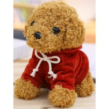 深红卫衣泰迪狗