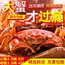 现货阳澄湖大闸蟹鲜活螃蟹特大公蟹4.0两 母蟹3.0两8只包邮礼盒装